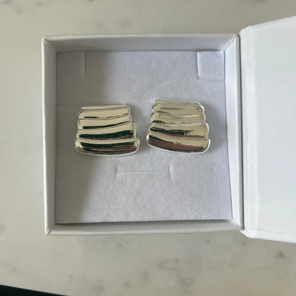 Vase Silver- Heaven Mayhem Earrings - Picture 3 of 3